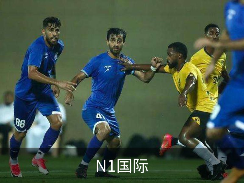 N1国际概况